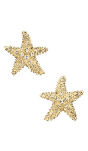 Sea Star Earrings in - BaubleBar - Modalova