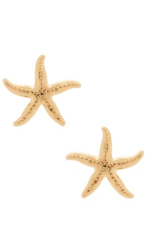STATEMENT-OHRRINGE STARFISH in - BaubleBar - Modalova