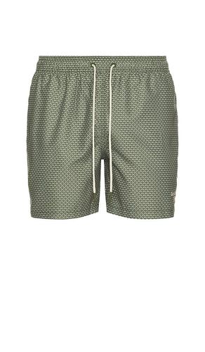 Shell Swim Short in . - size L (also in S, XL/1X) - Barbour - Modalova