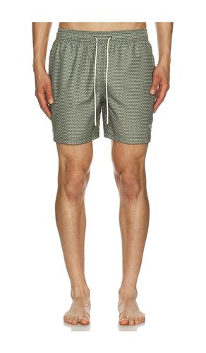 SHORTS SHELL in . Größe S. Also in M, L, XL/1X - Barbour - Modalova