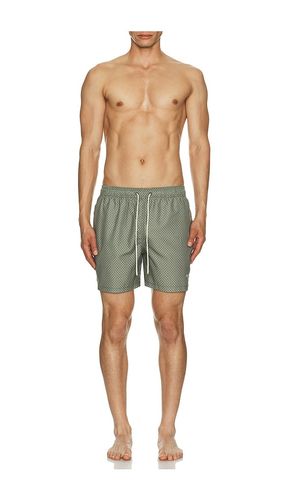 SHORTS SHELL in . Größe S. Also in XL/1X - Barbour - Modalova