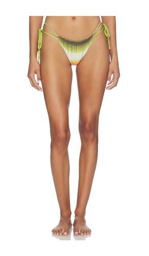 Lula Bikini Pant in Green. - size L (also in XL, XS) - Baobab - Modalova