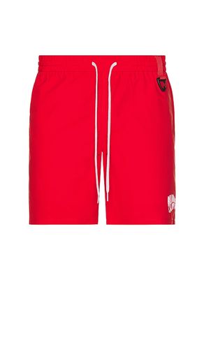 Curve Shorts in . - size L (also in M, XL/1X) - Billionaire Boys Club - Modalova