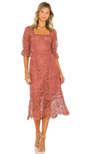 Did It My Way Dress in Mauve. - size 0 (also in 4) - Steve Madden - Modalova