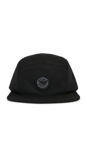 Prodigy Performance Cap in - Bad Birdie - Modalova