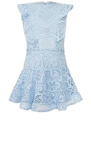 Sadie Lace Dress in Baby Blue. - size 5 (also in 6, 7) - Bardot Junior - Modalova