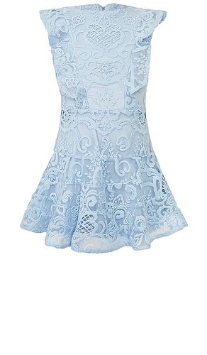 Sadie Lace Dress in Baby Blue. - size 6 (also in 7) - Bardot Junior - Modalova