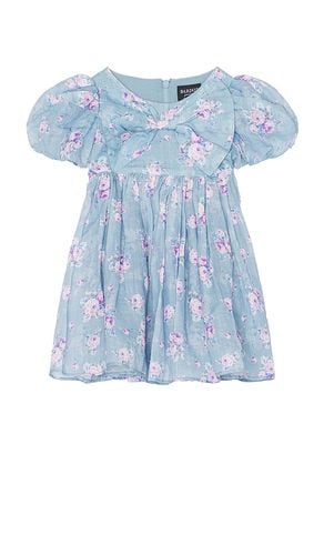 Kids Mercer Ditsy Mini Dress in Baby Blue. - size 12-18mo (also in 2yr, 3yr) - Bardot Junior - Modalova