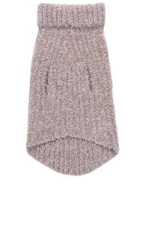HUNDEPULLOVER COZYCHIC RIBBED PET SWEATER in . Größe M. Also in L, S, XL/1X, XXL/2X - Barefoot Dreams - Modalova