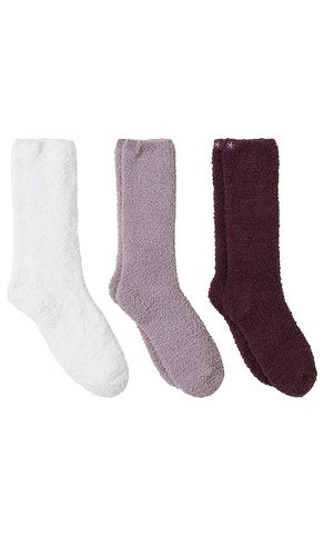 CozyChic 3 Pair Sock Set In in Burgundy - Barefoot Dreams - Modalova