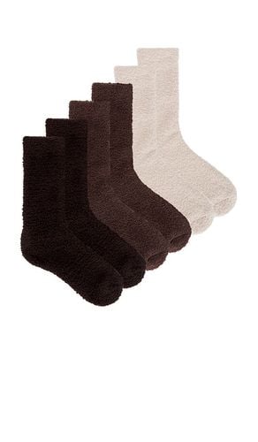 CozyChic 3 Pair Sock Set in Brown - Barefoot Dreams - Modalova