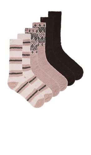 X REVOLVE CozyChic 3 Pair Winter Sock Set in Taupe - Barefoot Dreams - Modalova