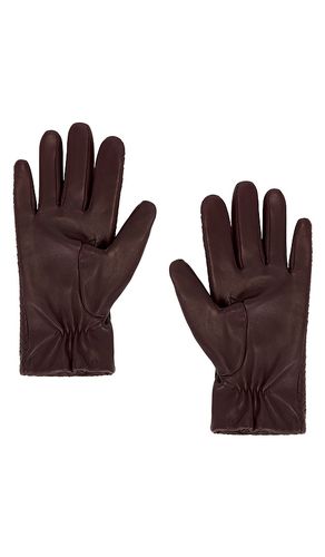 HANDSCHUHE EMIL in . Größe M/L. Also in XS/S - BEMBIEN - Modalova