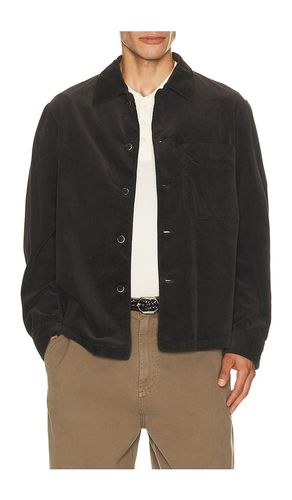 Overshirt Cedrone Cortivo in . Size 46. Also in 48, 52, 54 - Barena - Modalova