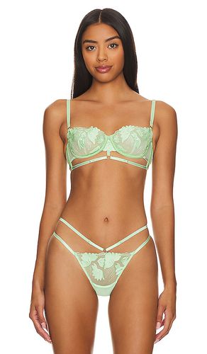 Isla Wired Bra in Mint. - size 36B (also in 36C) - BLUEBELLA - Modalova