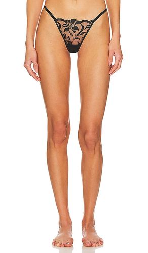 Leonora Thong in . - size XL (also in XXL) - BLUEBELLA - Modalova
