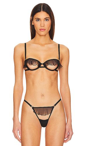 Matisse Bra in . - size 32D (also in 34D, 36C, 36D) - BLUEBELLA - Modalova