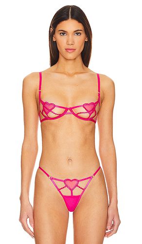 Cristabel Bra in Fuchsia. - size 32C (also in 32D, 36B, 36C) - BLUEBELLA - Modalova