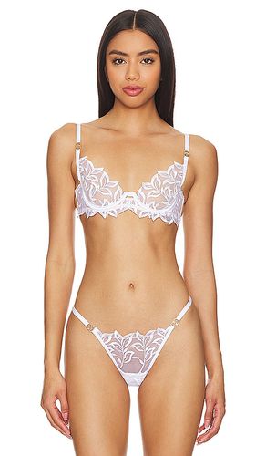 Isadora Bra in . - size 32C (also in 36B, 36C) - BLUEBELLA - Modalova