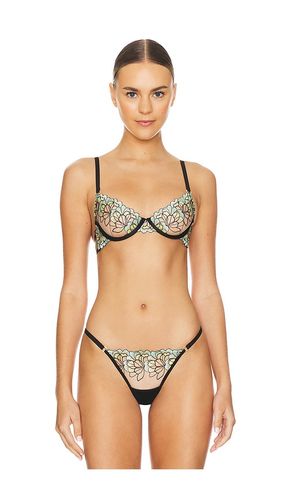 Serena Bra in Black. - size 32B (also in 32C) - BLUEBELLA - Modalova