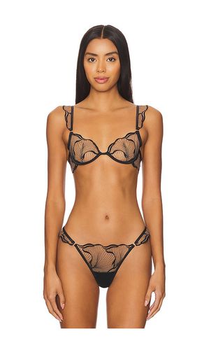 Marabel Bra in . - size 32B (also in 32C, 32D, 34C, 36B, 36C) - BLUEBELLA - Modalova