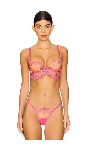 Marisa Bra in Fuchsia. - size 32B (also in 32C, 32D, 34B, 34C, 34D, 36B, 36C) - BLUEBELLA - Modalova