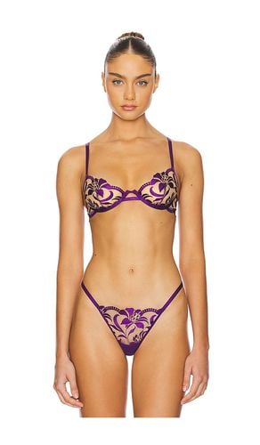 Leonora Bra in . - size 32B (also in 32C, 32D, 34B, 34C, 34D, 36B, 36C) - BLUEBELLA - Modalova