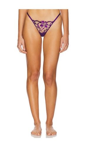 Leonora Thong in . - size L (also in M, XL, XS, XXS) - BLUEBELLA - Modalova