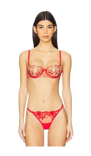 Rosalie Bra in . - size 32B (also in 32C, 32D, 34B, 34C, 34D, 36B, 36C, 36D) - BLUEBELLA - Modalova