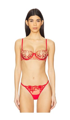 Rosalie Bra in . - size 32C (also in 32D, 34B, 34C, 34D, 36C, 36D) - BLUEBELLA - Modalova