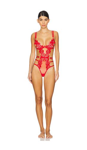 Ophelia Bodysuit in . - size 32B (also in 32C, 32D, 34B, 34C, 34D, 36B, 36C) - BLUEBELLA - Modalova