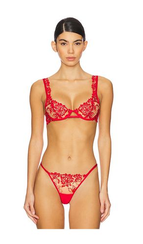 Samara Bra in . - size 32B (also in 32C, 32D, 34B, 34C, 34D, 36B, 36C) - BLUEBELLA - Modalova