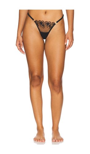 Harlow Thong in . - size S (also in XL) - BLUEBELLA - Modalova