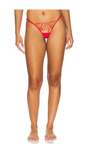 Rosalie Thong in . - size M (also in S, XS) - BLUEBELLA - Modalova