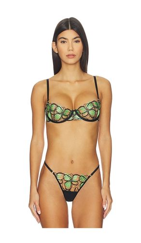 Odette Bra in . - size 32C (also in 32D, 34B, 34C, 34D, 36C, 36D) - BLUEBELLA - Modalova