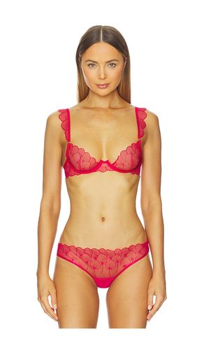 Vermont Wired Bra in Pink. - size 32B (also in 32C, 32D, 34B, 34C, 34D, 36B, 36C, 36D) - BLUEBELLA - Modalova