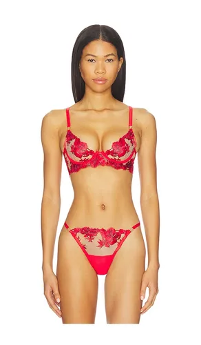 Lavanya Wired Bra in Red. - size 34B (also in 34C, 36D) - BLUEBELLA - Modalova