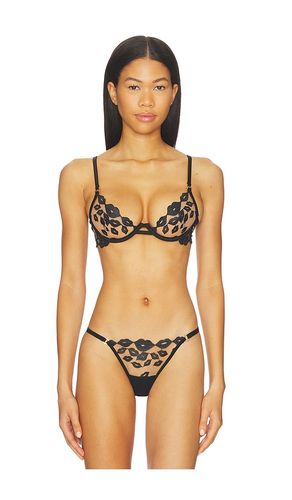 Marian Wired Bra in . - size 34B (also in 34D, 36B) - BLUEBELLA - Modalova