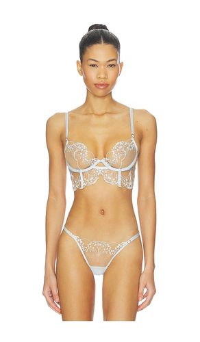 Marisa Wired Bra in Baby Blue. - size 32B (also in 36C) - BLUEBELLA - Modalova