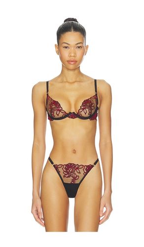 Malina Wired Bra in ,. - size 32A (also in 32D, 32DD, 36A, 36D, 36DD) - BLUEBELLA - Modalova
