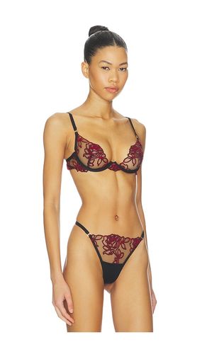 Malina Wired Bra in ,. - size 32A (also in 32D, 32DD, 36A, 36D, 36DD) - BLUEBELLA - Modalova