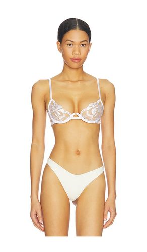 Leonora Wired Bra in . - size 32A (also in 36A, 36C) - BLUEBELLA - Modalova