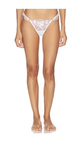 Gabriella Thong in . - size 2XL (also in XL, XXS) - BLUEBELLA - Modalova