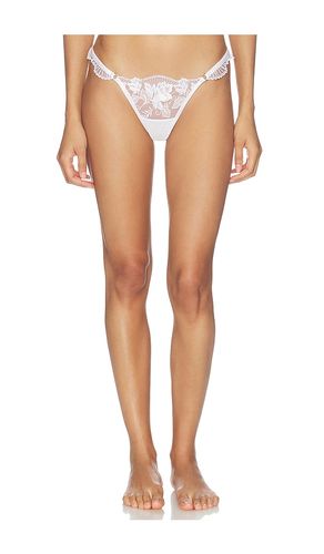 Gabriella Thong in . - size XXS (also in XL, 2XL) - BLUEBELLA - Modalova