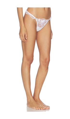 Gabriella Thong in . - size 2XL (also in XL, XXS) - BLUEBELLA - Modalova