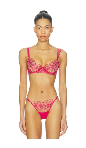 Amarosa Wired Bra in Fuchsia. - size 32A (also in 32B, 34A, 36A, 36DD) - BLUEBELLA - Modalova
