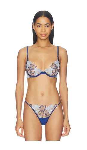 Calantha Wired Bra in Baby Blue, Navy. - size 32A (also in 36A, 36DD) - BLUEBELLA - Modalova