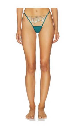 Gianna Thong in Green. - size XL (also in XXL, XXS) - BLUEBELLA - Modalova