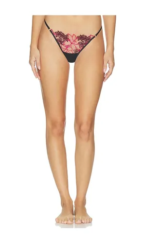 Calantha Thong in Multi. - size XS (also in L, M, S, XL, XXL) - BLUEBELLA - Modalova