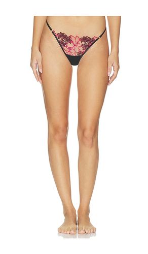 Calantha Thong in Multi. - size XS (also in S, M, L, XL, XXL) - BLUEBELLA - Modalova